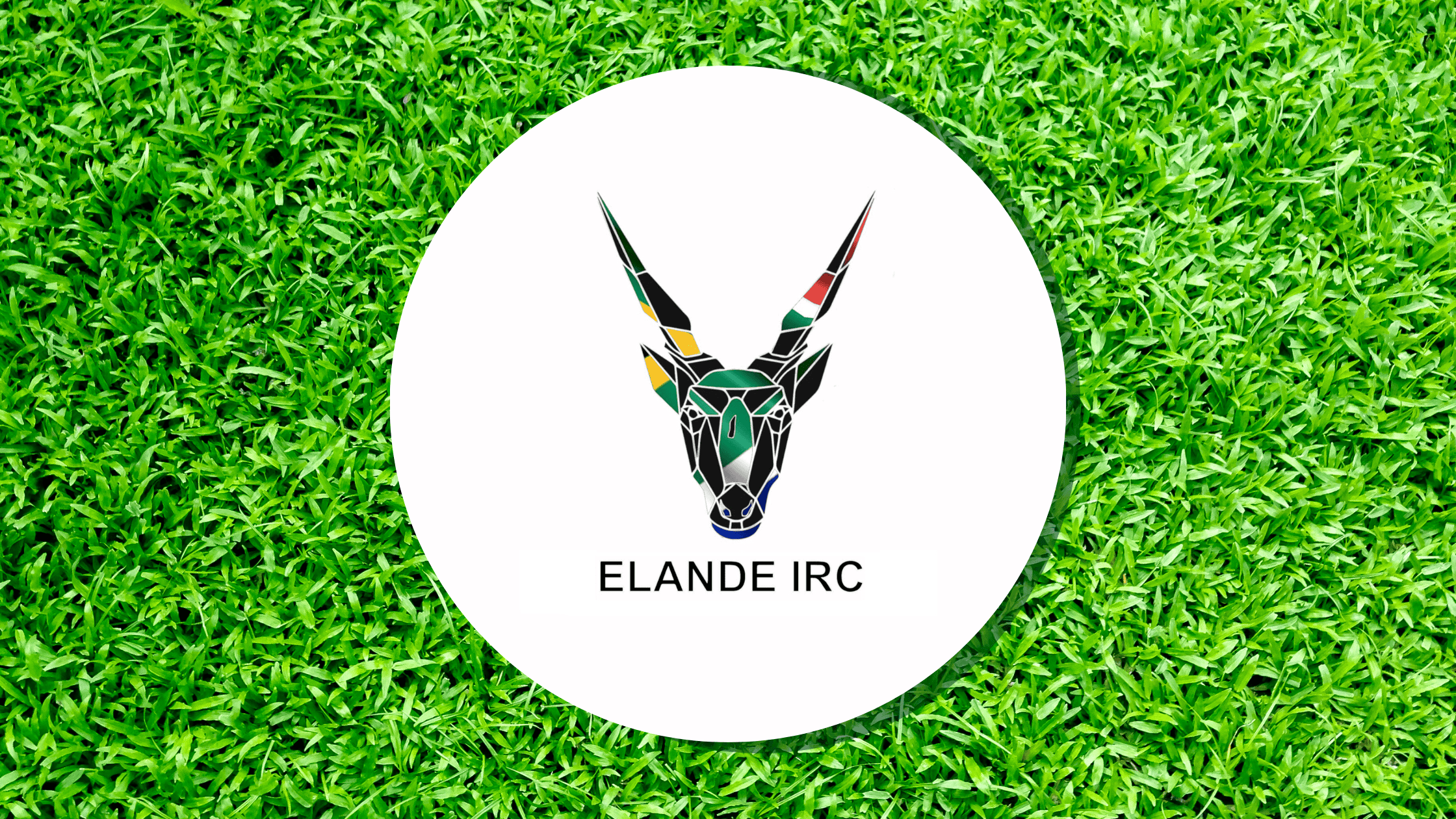 Elande-International-Rugby-Club