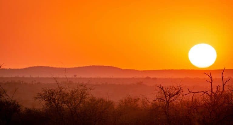 Wat mis Suid-Afrikaners in die buiteland die meeste?