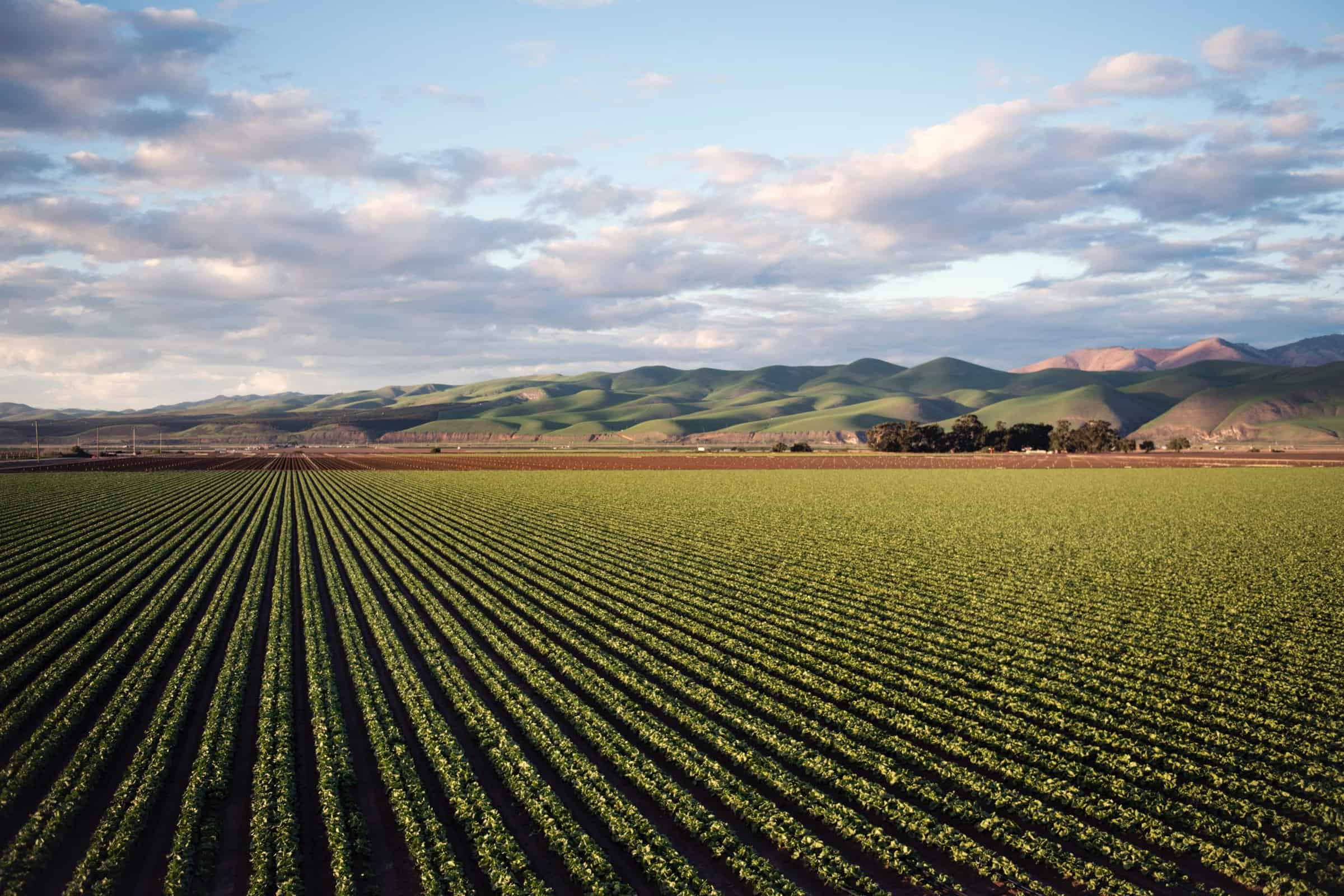 clouds-country-cropland-974314