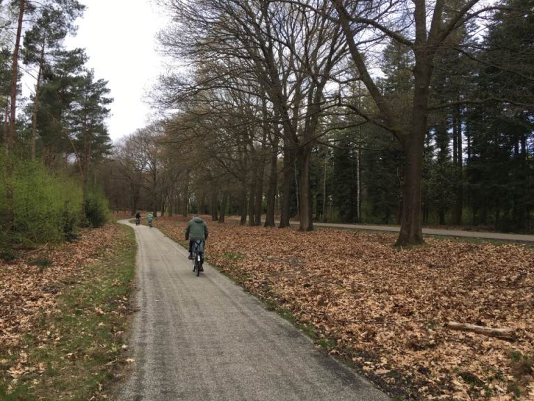 The De Hoge Veluwe National Park and the Kröller-Müller Museum