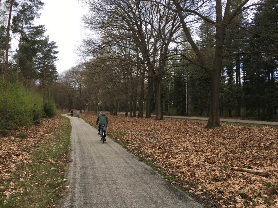 de-hoge-veluwe-national-park-kroller-muller-museum