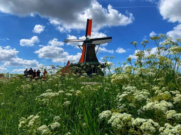 Wêreldgids in fokus: Nederland