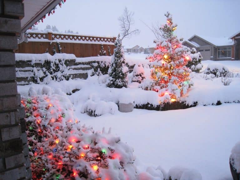 Christmas in Canada