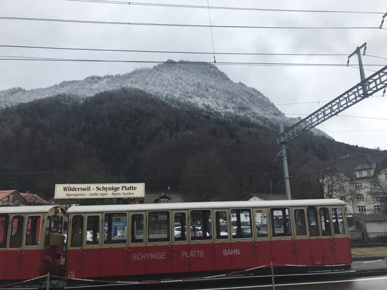 Van die Drakensberge tot die Jungfrau se hange: My verhaal as wêreldreisbeginner!