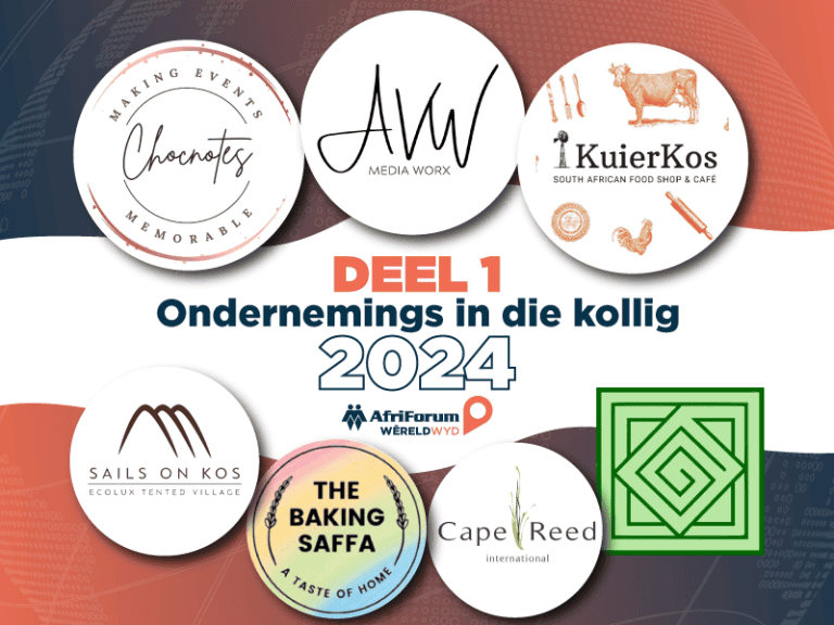 Terugflits: Ondernemings in die kollig 2024 (Deel 1)