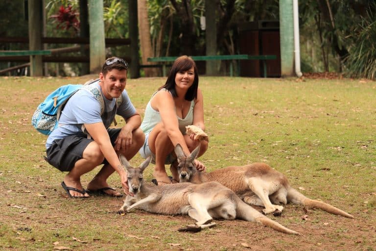 Uit en tuis: ’n e-pos uit Australië