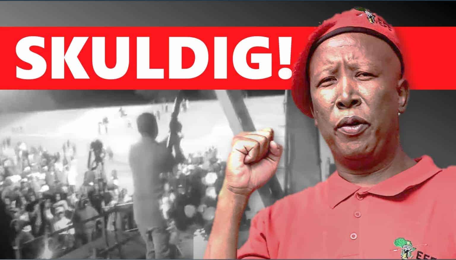 Skuldigbevinding in Malema-vuurwapensaak ’n oorwinning vir aanspreeklikheid en oppergesag van die reg