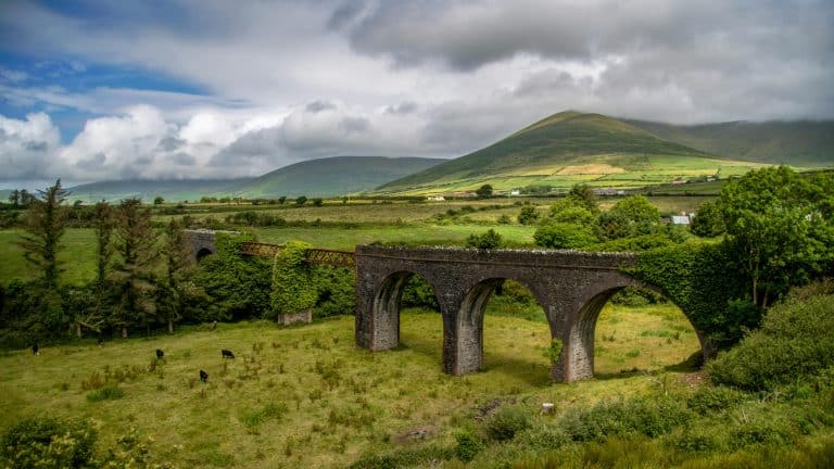 World Guide in focus: Ireland