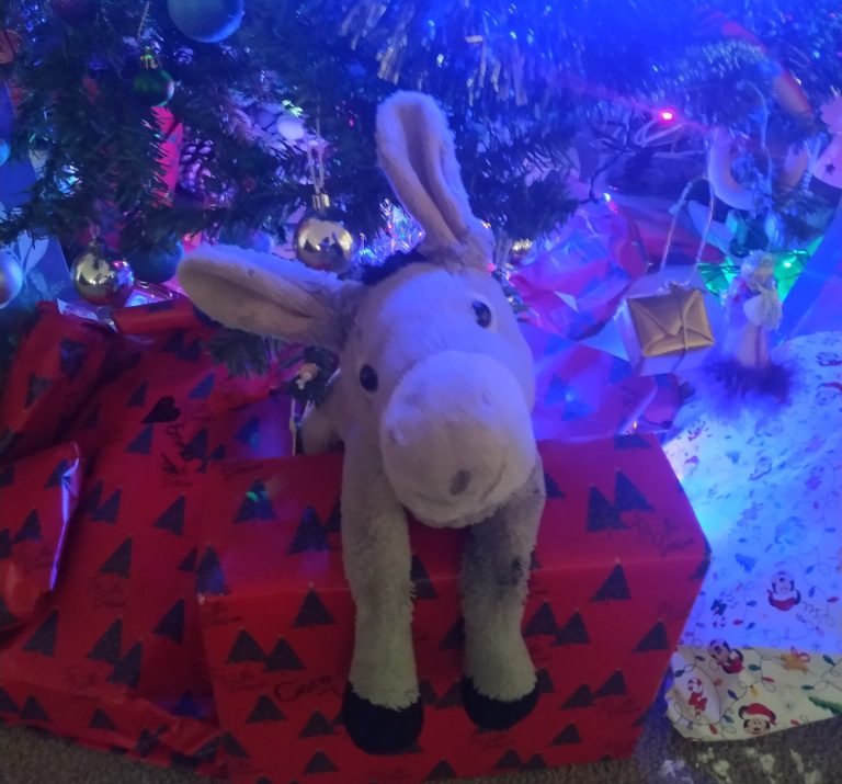 Kersfees in Nieu-Seeland: ’n Gesin se eie ritme, herinneringe en nuwe tradisies