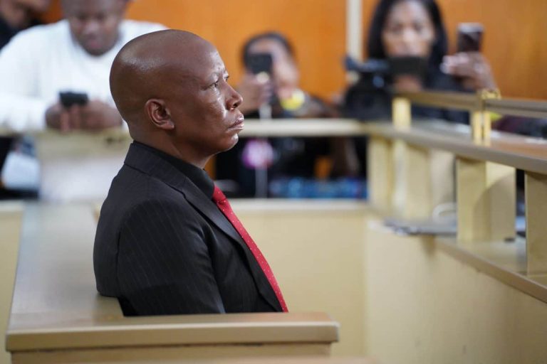 Malema sentence affirms that politicians are not above the law – AfriForum